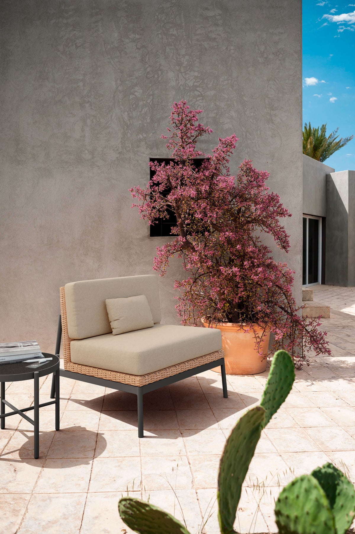 Terra | Club Chair Club Chairs Azzurro Living