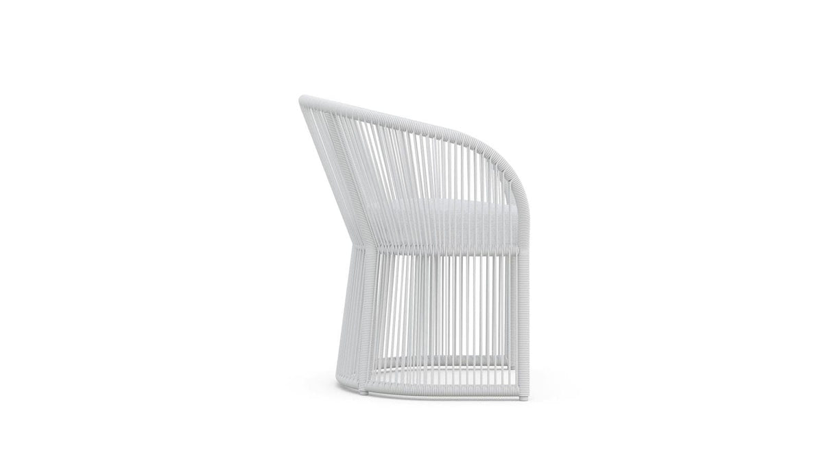 Cape Town | Dining Chair Dining Chairs Azzurro Living